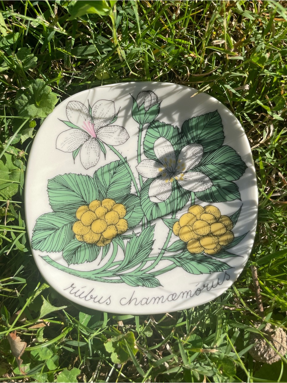 Arabia Finland Botanical Floral Trinket Dish - Picture 2 of 12